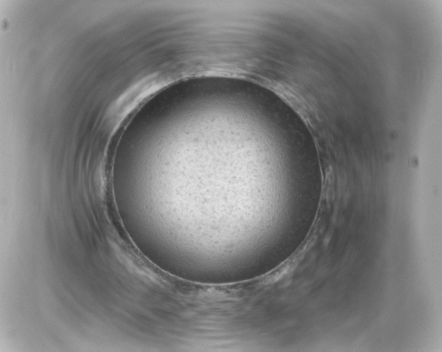 X0000087580290200705112245