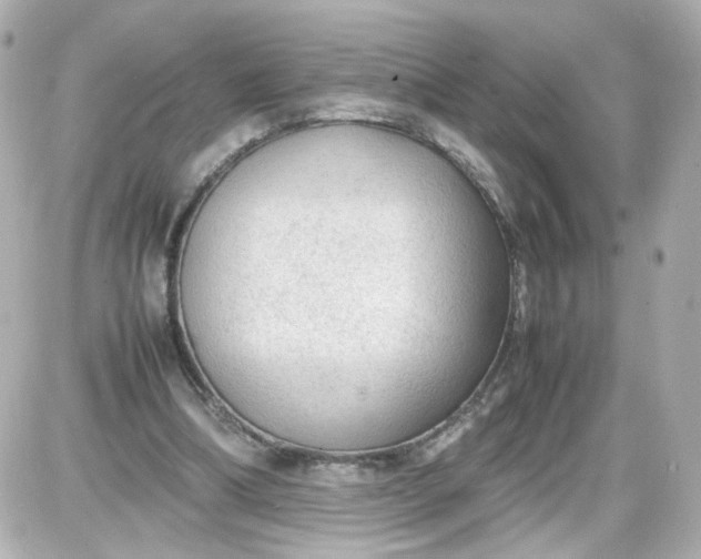 X0000087580298200705112245