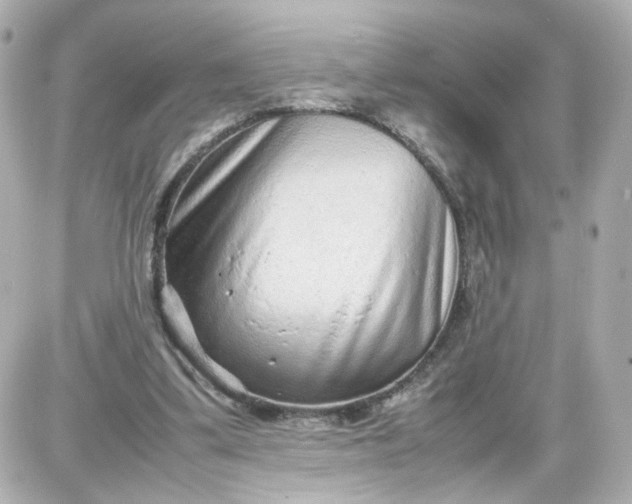 X0000087580299200705112244