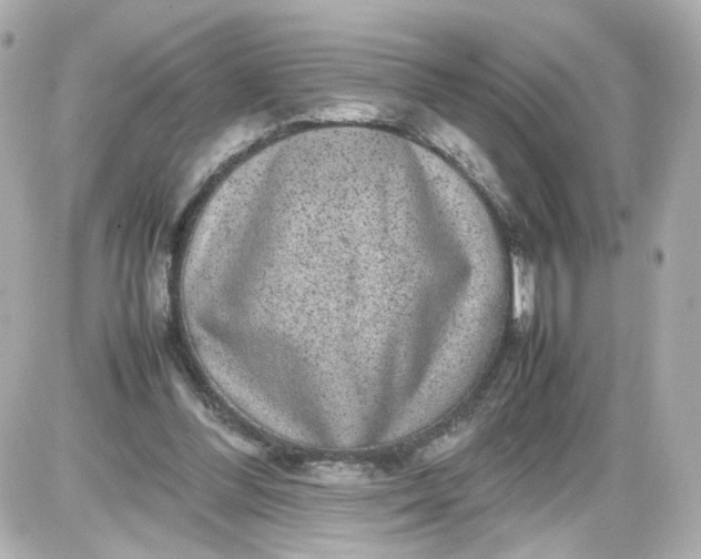 X0000087580300200705112244