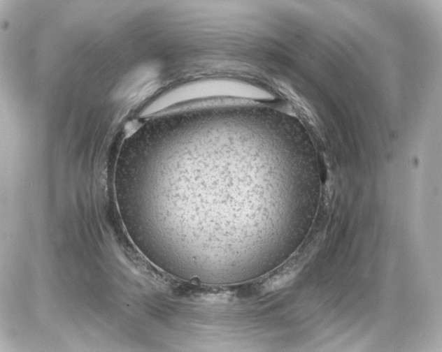 X0000087580306200705112244