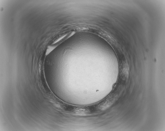 X0000087580315200705112244