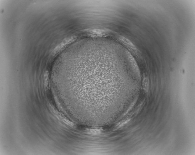 X0000087580318200705112244