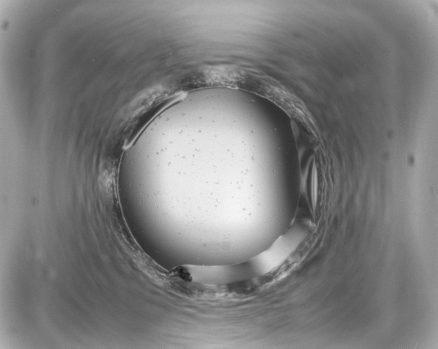 X0000087580329200705112244
