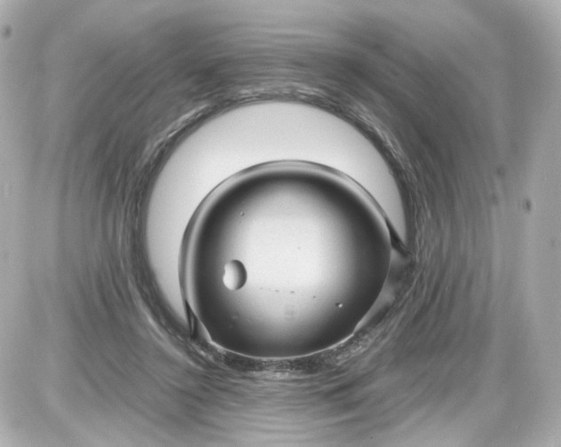 X0000087580356200705112243