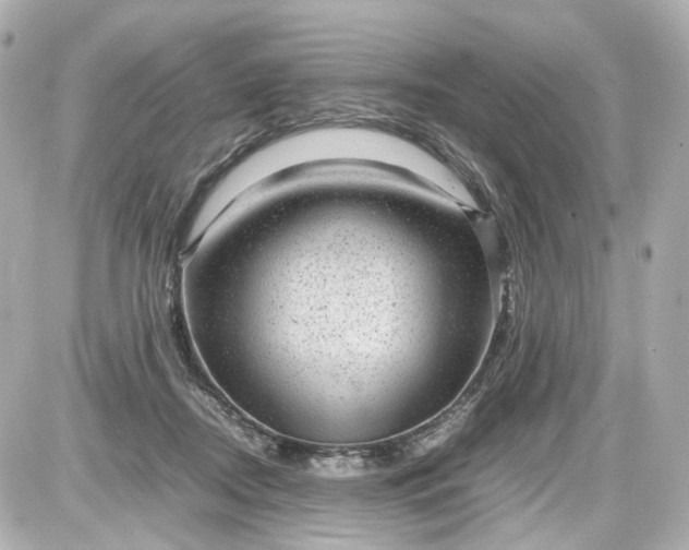 X0000087580362200705112244