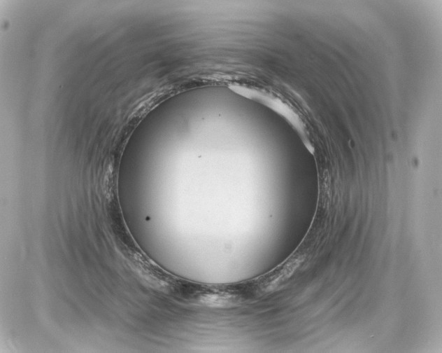X0000087580364200705112244
