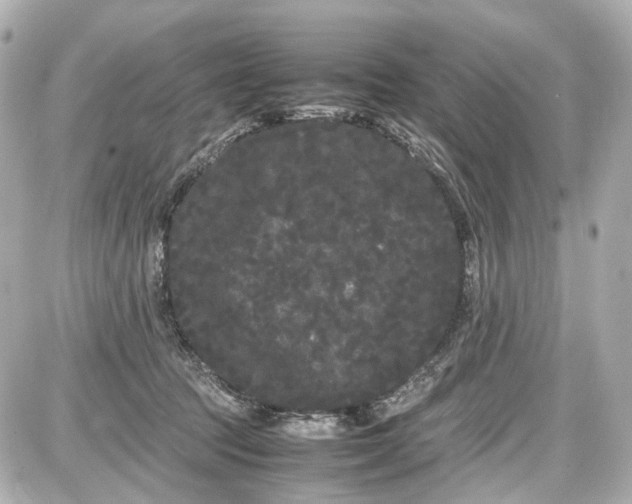 X0000087580369200705112244