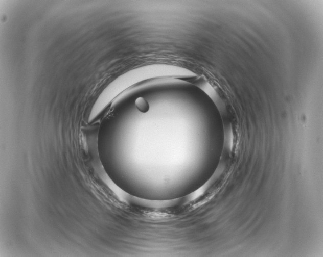 X0000087580380200705112244