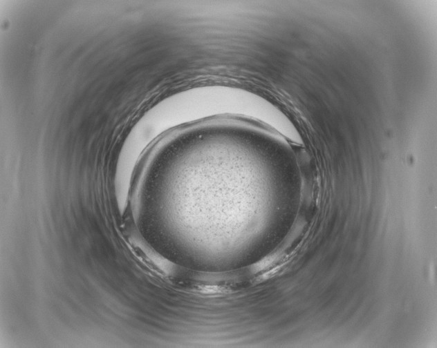 X0000087580382200705112244