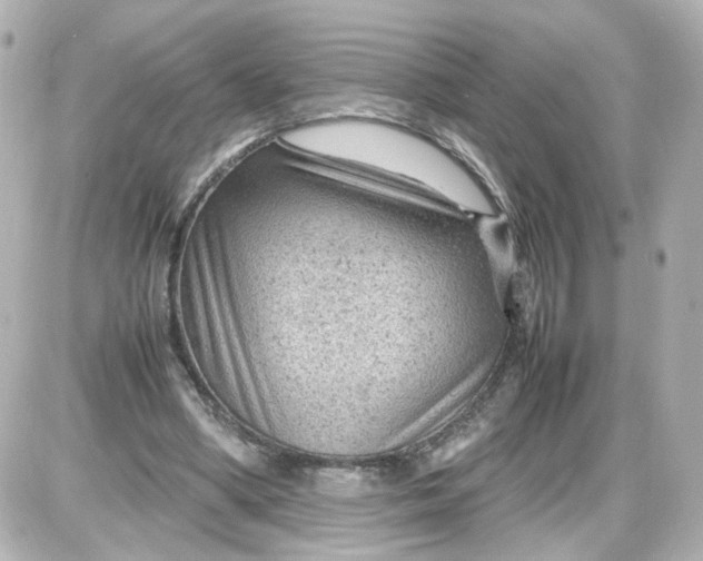 X0000087580394200705112243