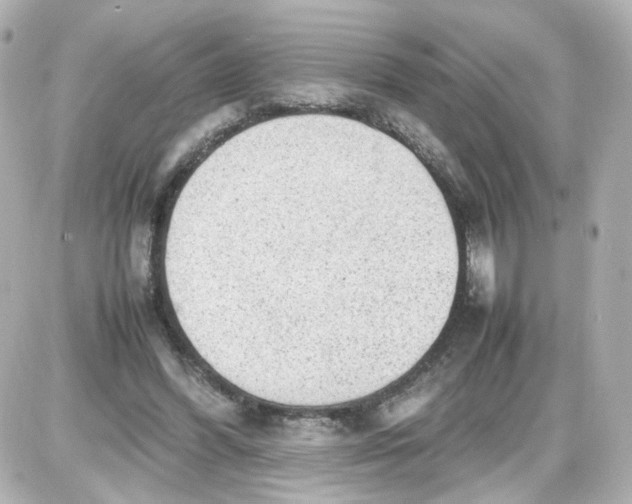 X0000087580396200705112243