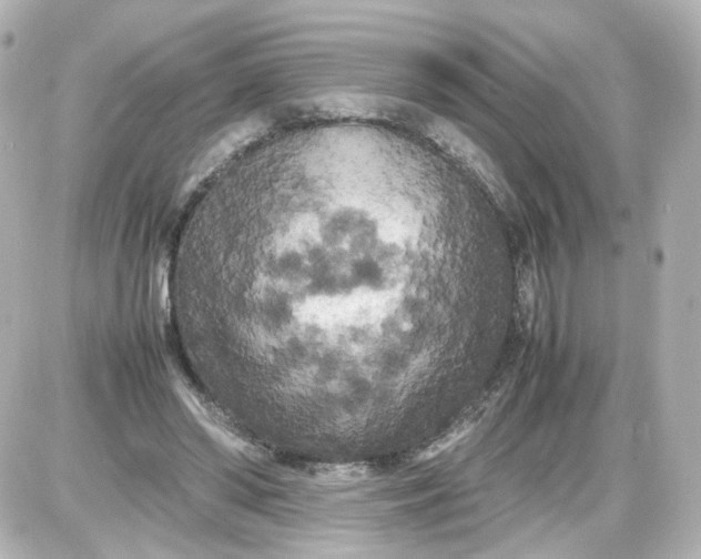X0000087580398200705112243