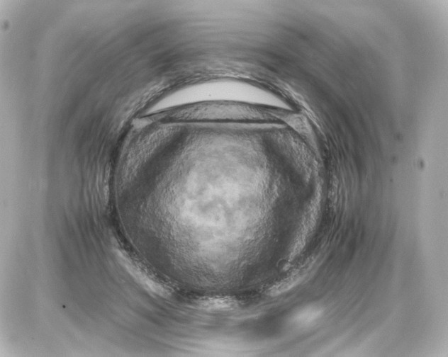 X0000087580402200705112243