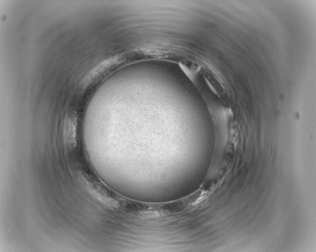 X0000087580404200705112243