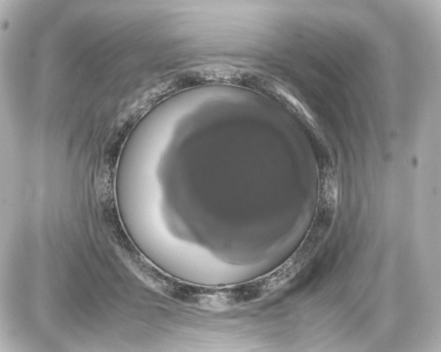 X0000087580411200705112243
