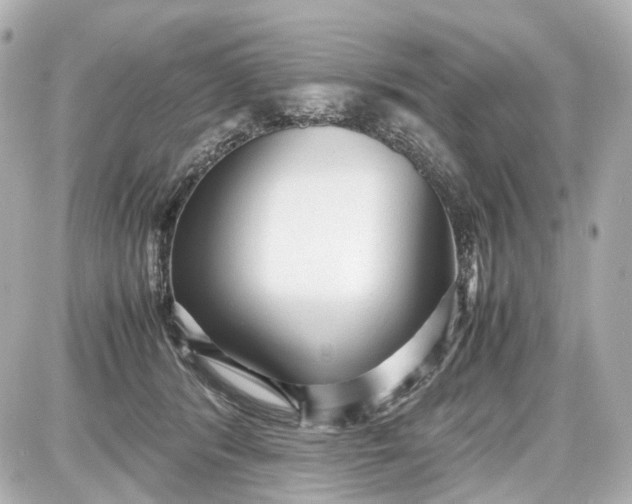 X0000087580416200705112243