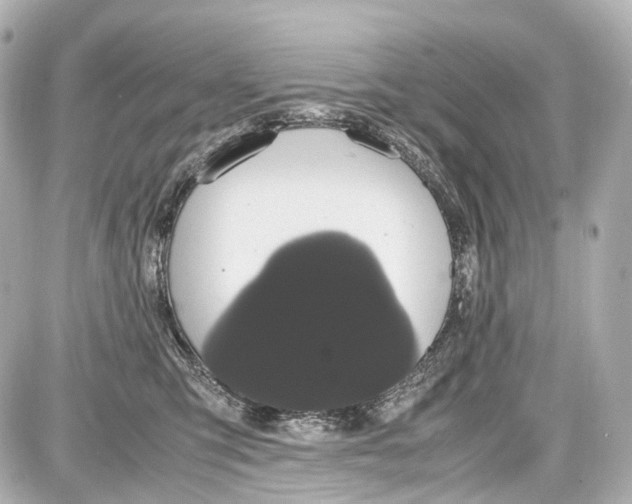 X0000087580423200705112242