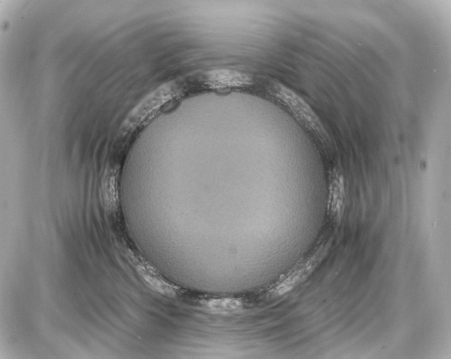 X0000087580426200705112242