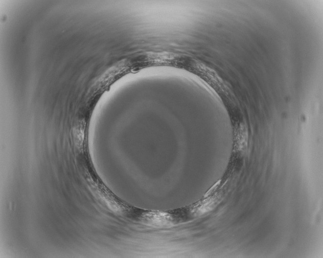 X0000087580427200705112242