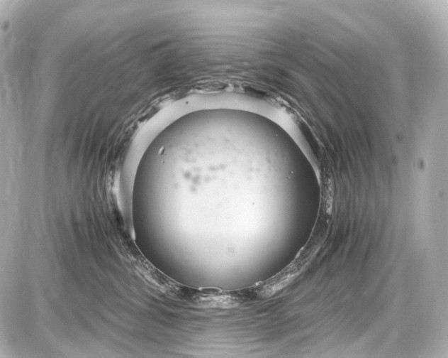 X0000087580428200705112242