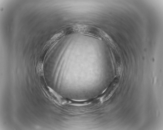 X0000087580429200705112242