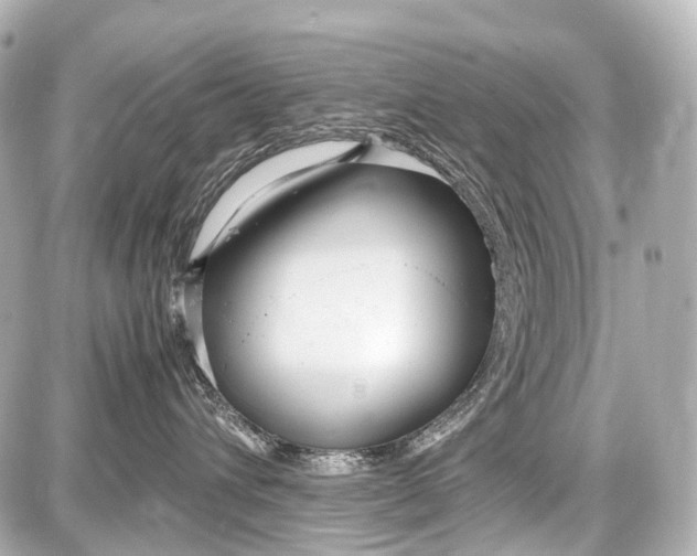 X0000087580432200705112242