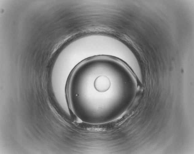X0000087580448200705112242
