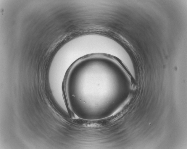 X0000087580452200705112242