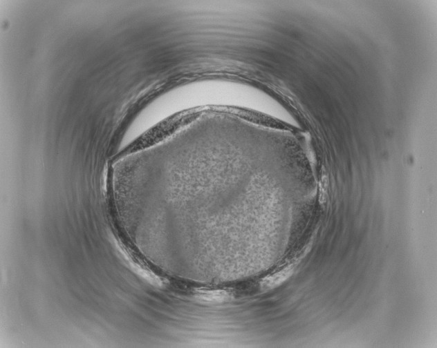 X0000087580454200705112242