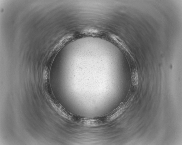 X0000087580472200705112242