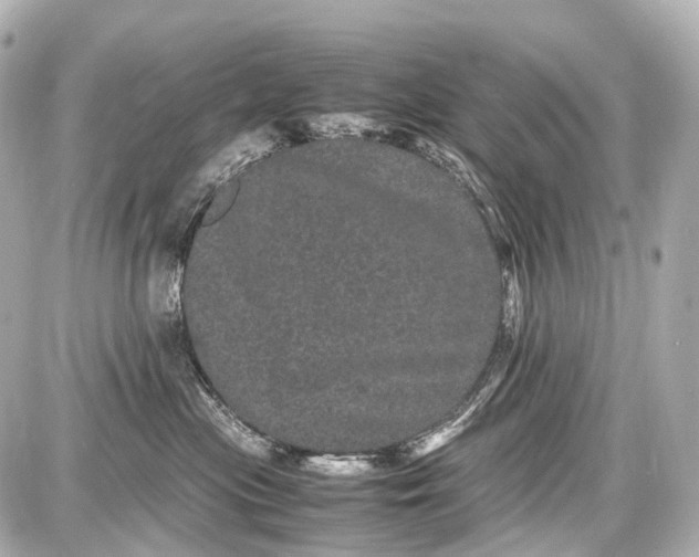 X0000087580477200705112242