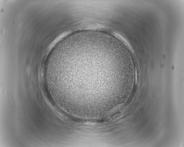 X0000087580483200705112242