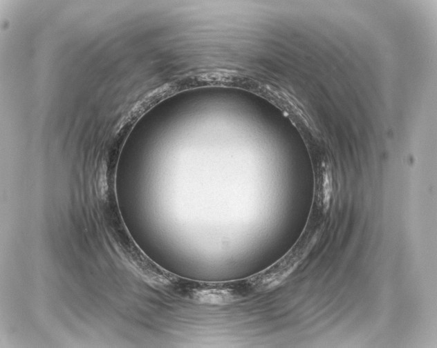 X0000087580508200705112241
