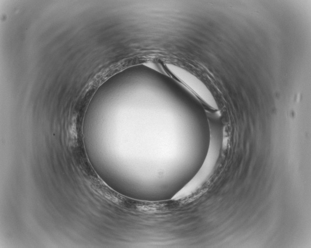 X0000087580516200705112241