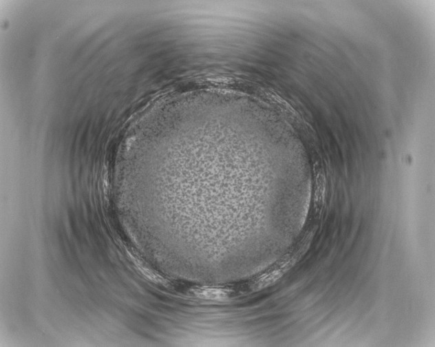 X0000087580518200705112241