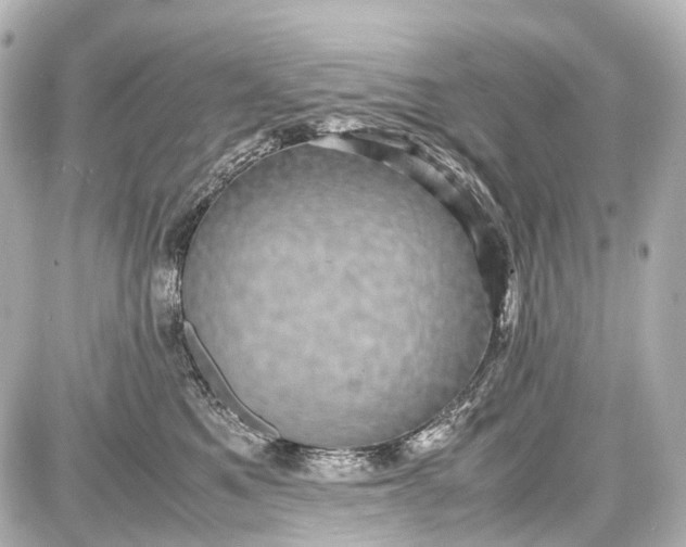 X0000087580521200705112241