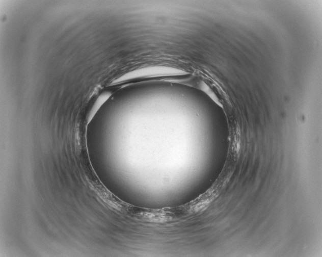 X0000087580524200705112241