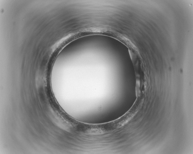 X0000087580536200705112240