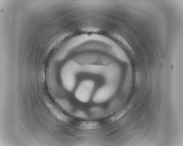 X0000087580541200705112240