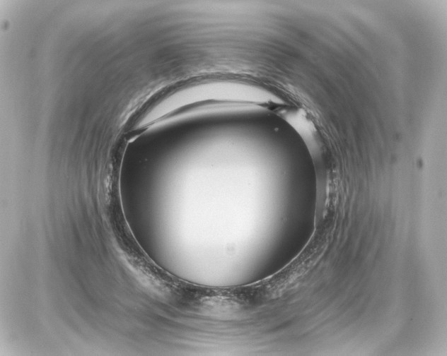 X0000087580544200705112240