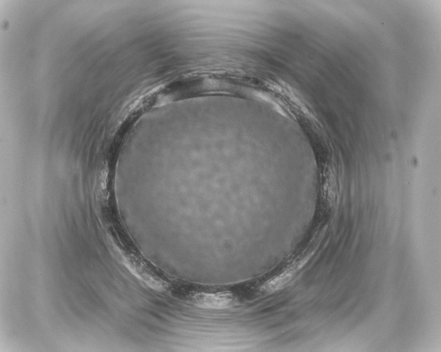 X0000087580548200705112240