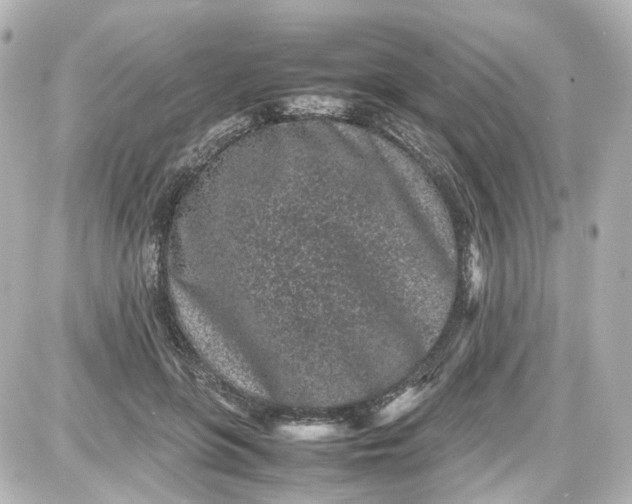 X0000087580551200705112240
