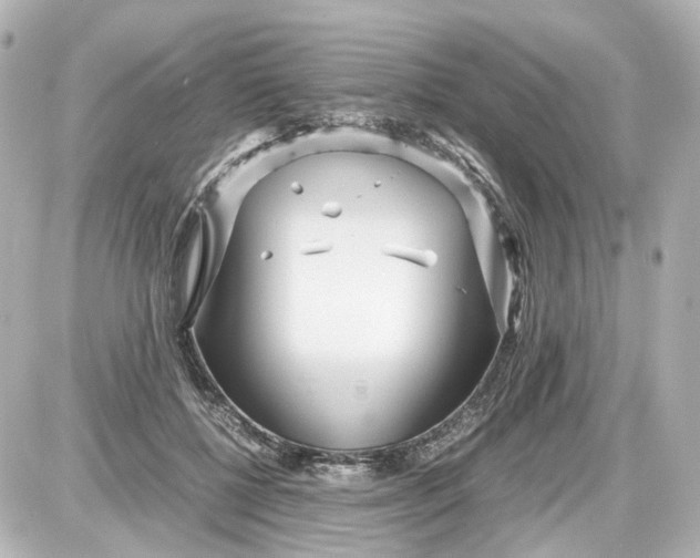 X0000087580552200705112240