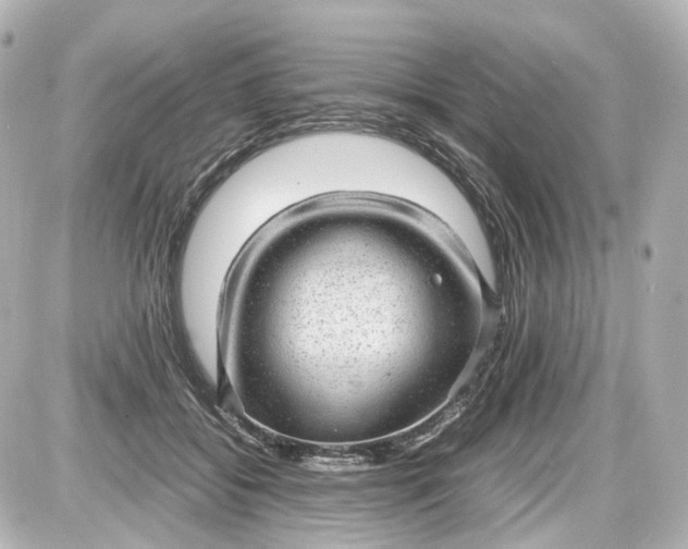 X0000087580556200705112240