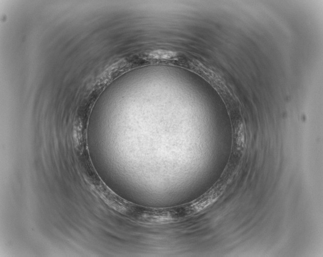X0000087580559200705112240