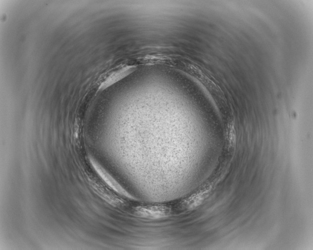 X0000087580567200705112240