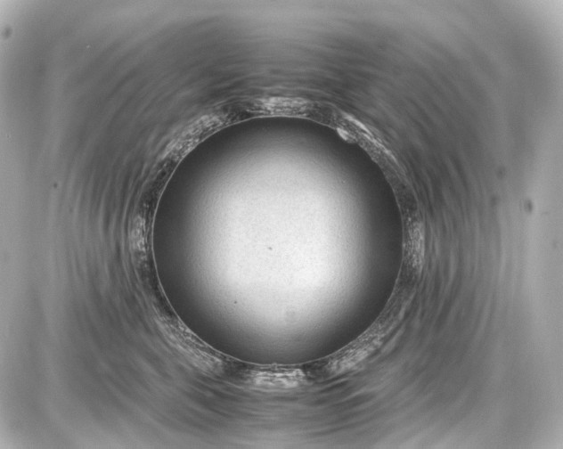 X0000087580571200705112240