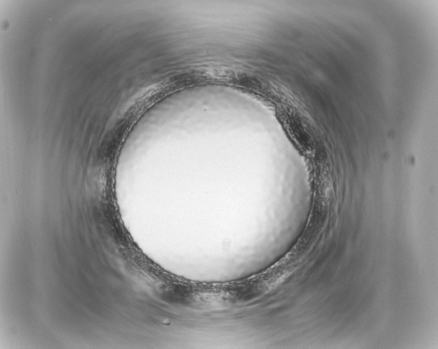 X0000087580595200705112239