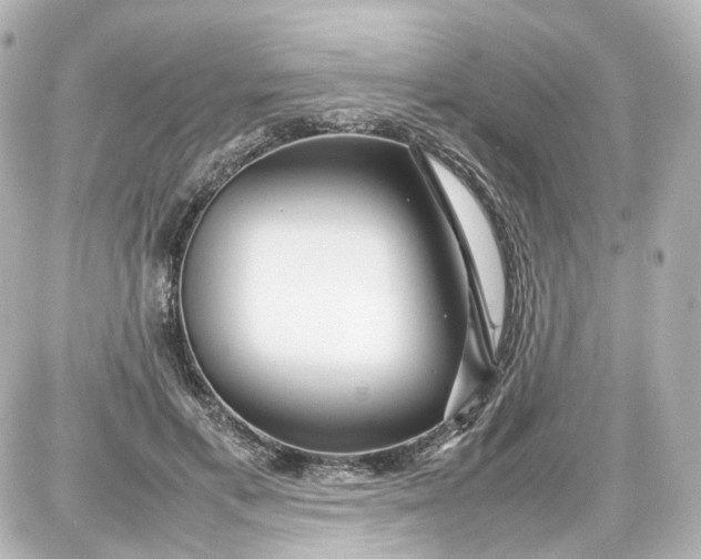 X0000087580597200705112239